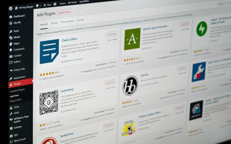 Top 10 WordPress Plugins